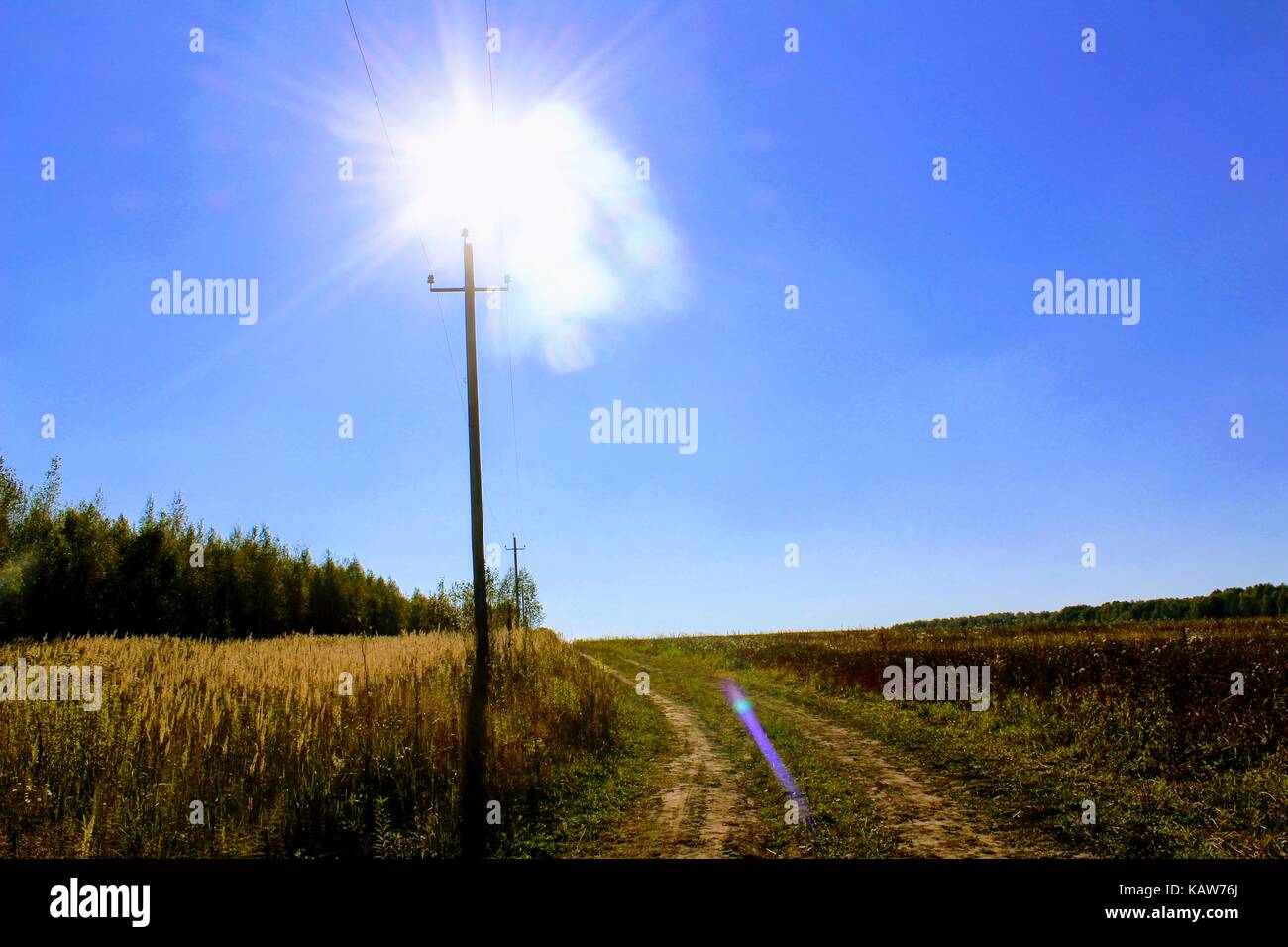 Un polo elettrico contro lo sfondo di un campo, una foresta e un blu cielo sereno. Foto Stock