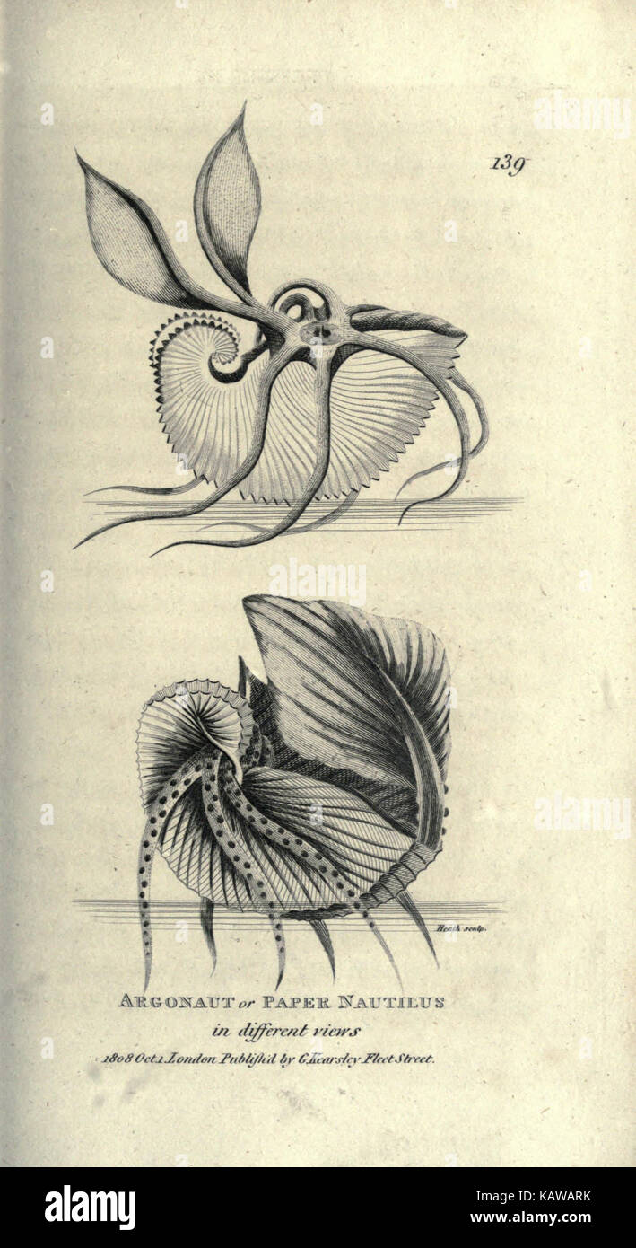 Zoological le lezioni tenute presso la Royal Institution (Pl. 139) BHL21511968 Foto Stock