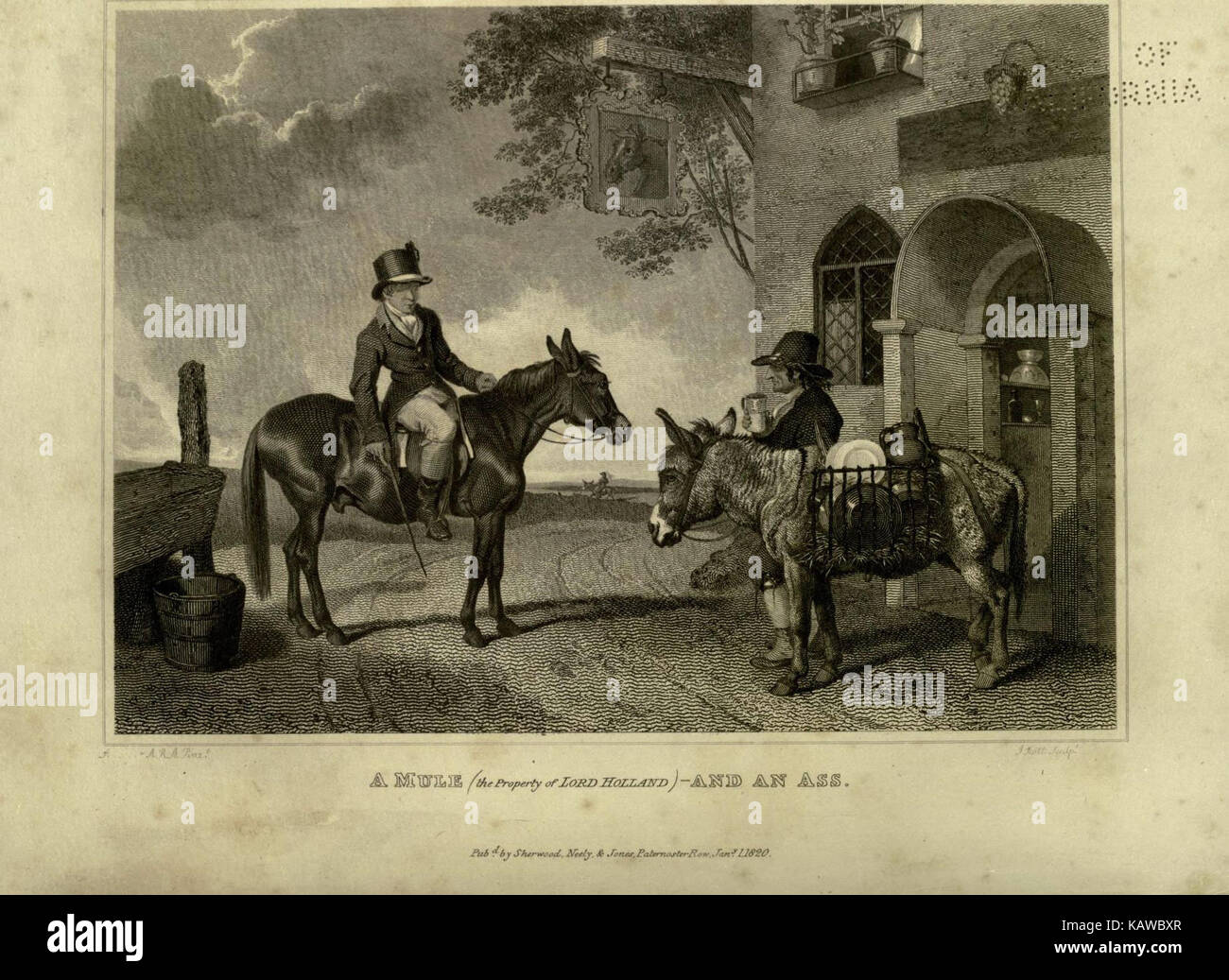 Un'illustrazione del *The Sportsman's Repository*, placca 14, raffigurante cani e cavalli, concentrandosi sugli animali sportivi nell'arte con disegni e dipinti dettagliati. Foto Stock