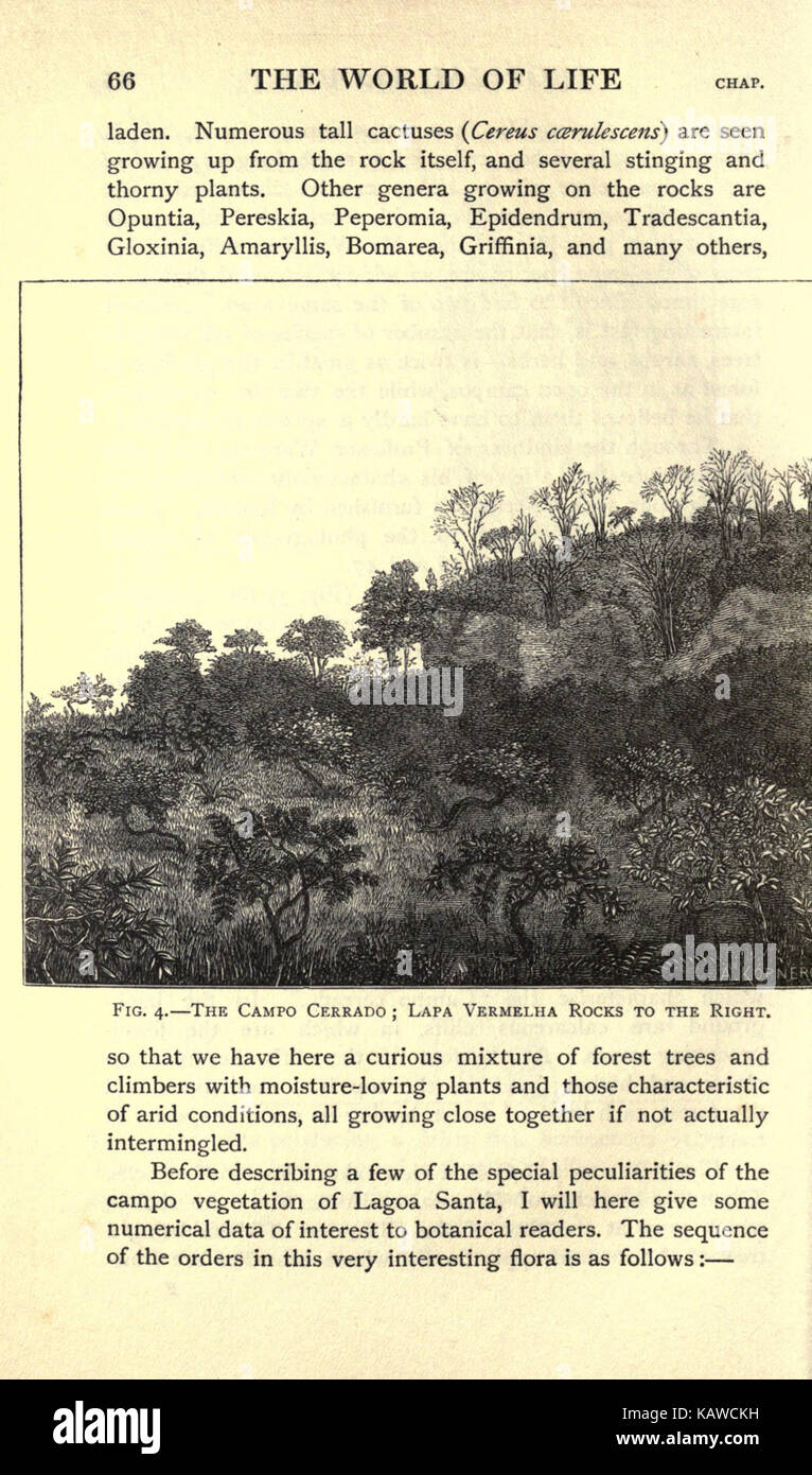 Il mondo della vita (pagina 66) BHL21737418 Foto Stock