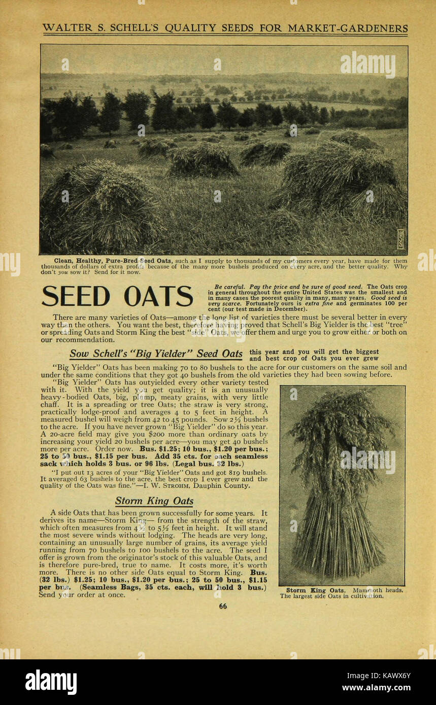 I materiali dell'azienda Walter S. Schell, dettagliati a pagina 66, mostrano i contributi storici dell'azienda al business e all'industria, concentrandosi sulle pratiche e sui record aziendali. Foto Stock