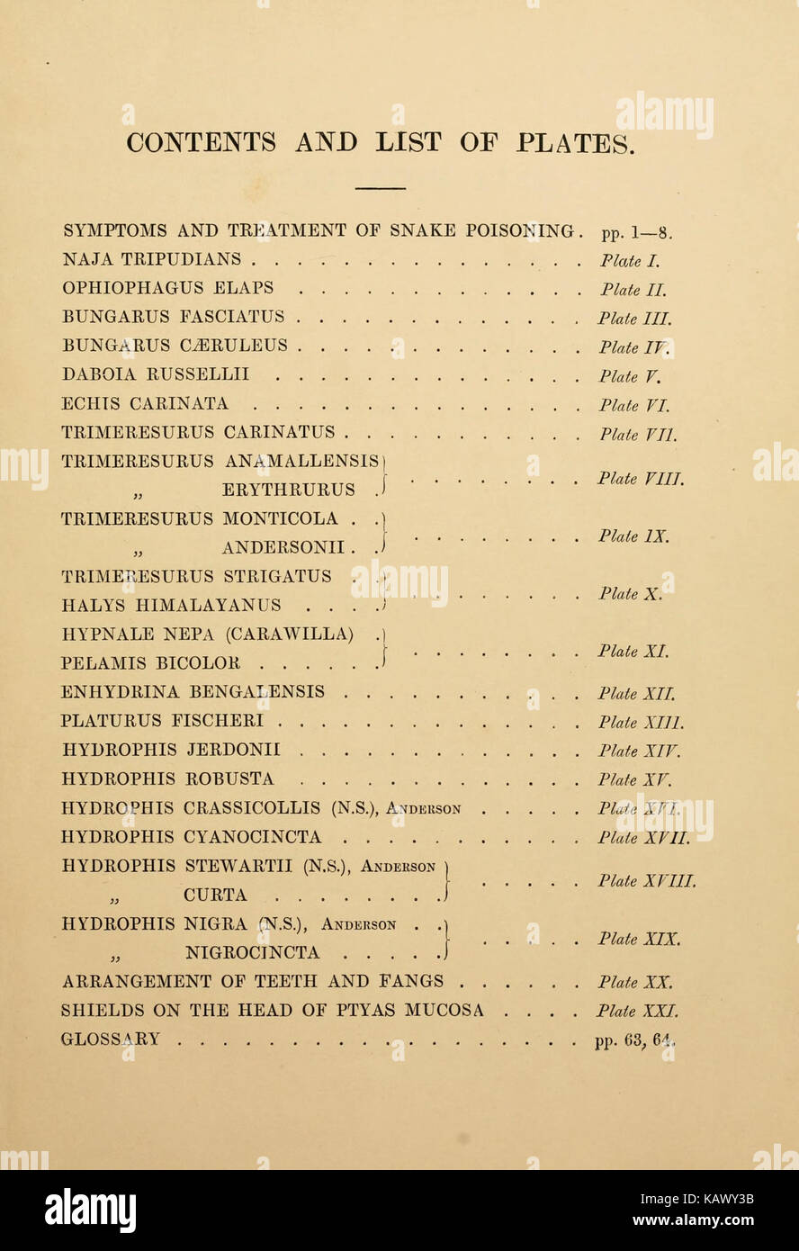 I serpenti velenosi dell India BHL4380202 Foto Stock