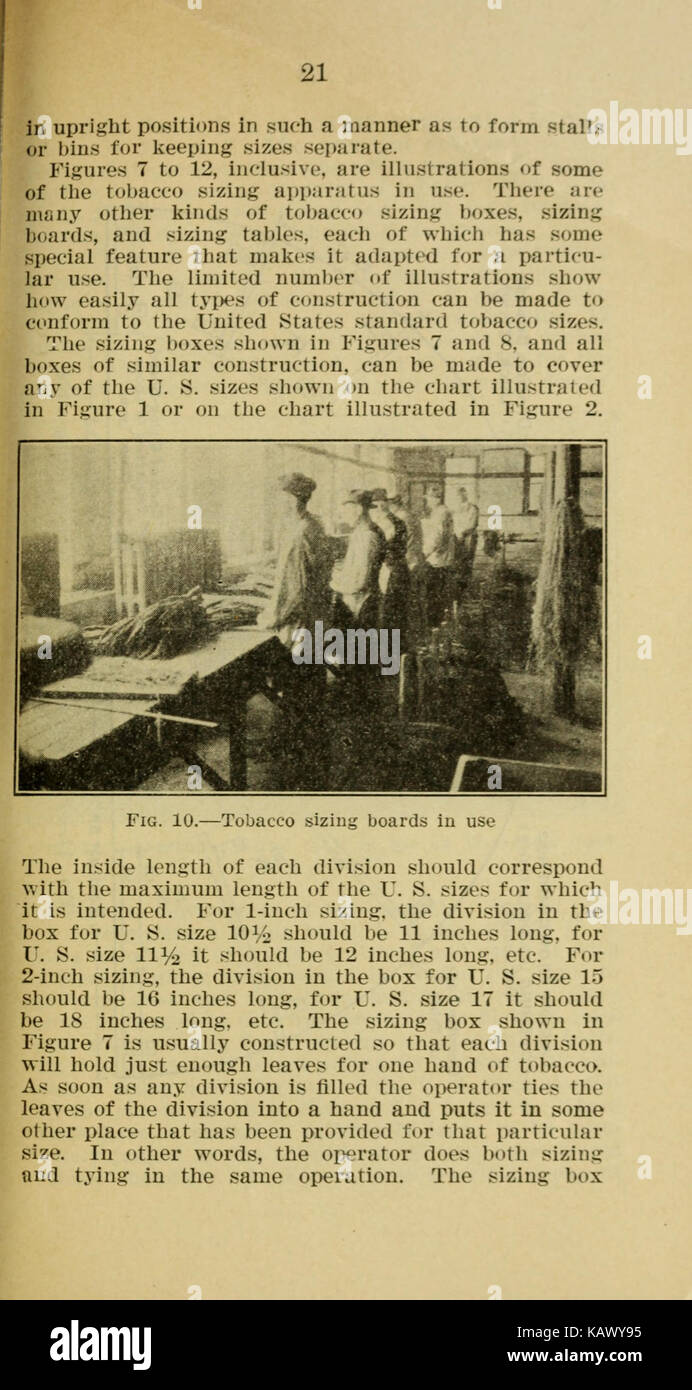 Stati Uniti standard dimensioni di tabacco BHL41939771 Foto Stock