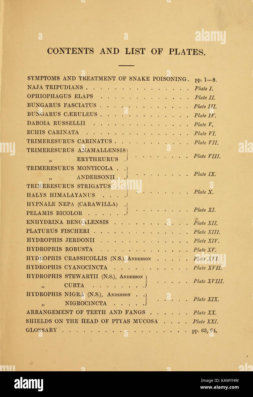 I serpenti velenosi dell India BHL12302073 Foto Stock