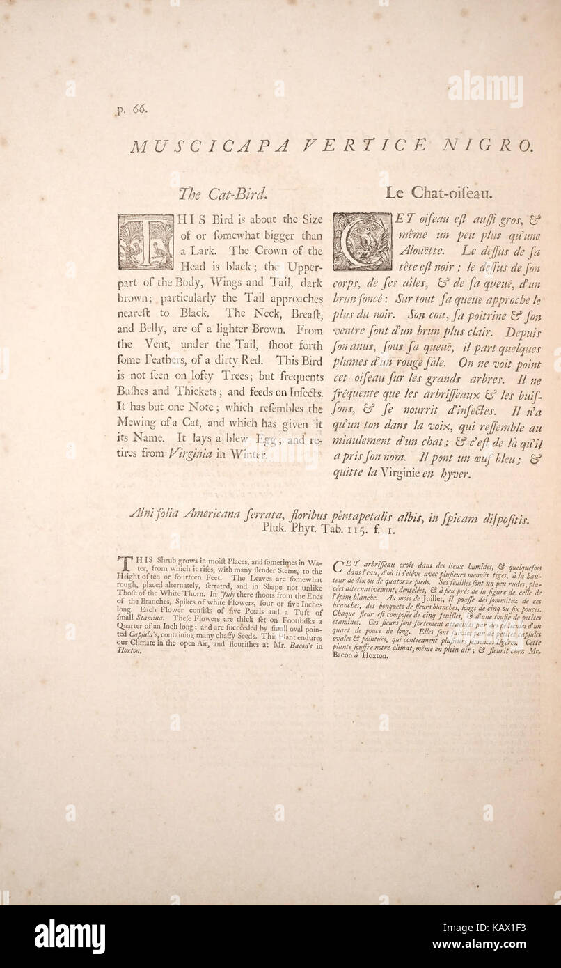 La storia naturale della Carolina, Florida e il Bahama Isole (p. 66) BHL42117149 Foto Stock