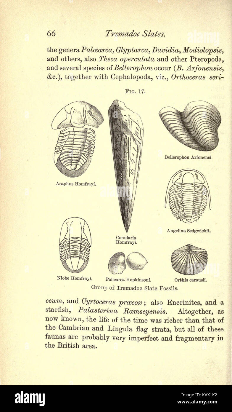 La fisica la geologia e la geografia della Gran Bretagna (pagina 66) BHL34709288 Foto Stock