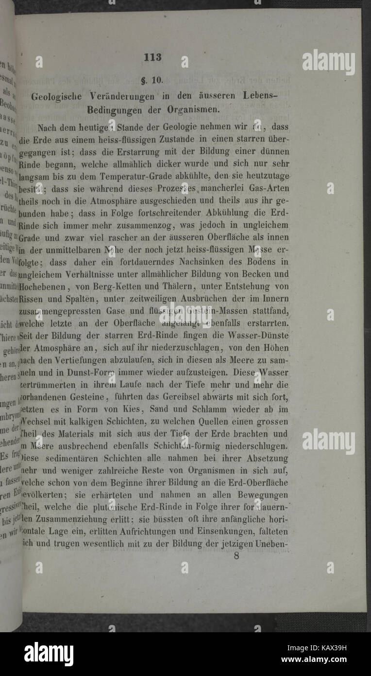Untersuchungen uber die Entwickelungs Gesetze der organischen Welt wahrend der Bildungs , Unserer Zeit Erd Oberflache (pagina 113) BHL34481507 Foto Stock