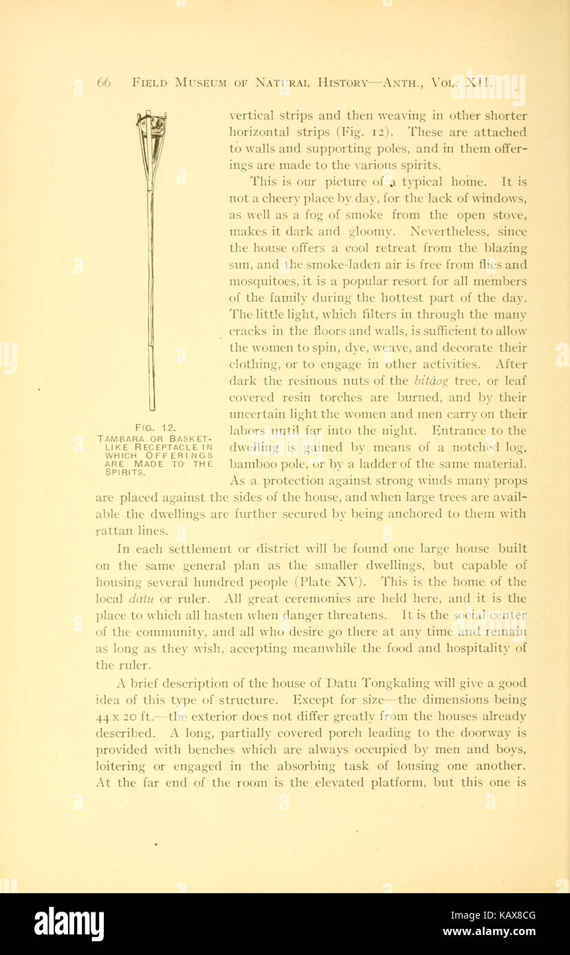 La selvaggia tribù del distretto di Davao, sull isola di Mindanao (pagina 66) BHL2660112 Foto Stock