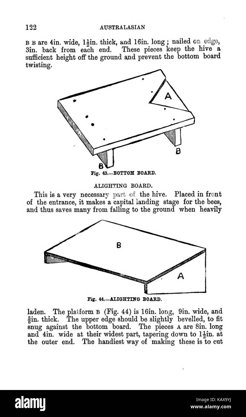 L'illustrato Australasian bee manuale e guida completa alla moderna cultura delle api nell'emisfero sud BHL38562803 Foto Stock