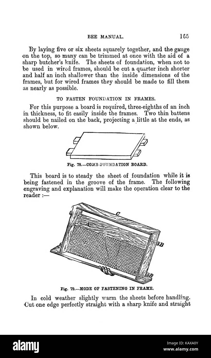 L'illustrato Australasian bee manuale e guida completa alla moderna cultura delle api nell'emisfero sud BHL38562846 Foto Stock