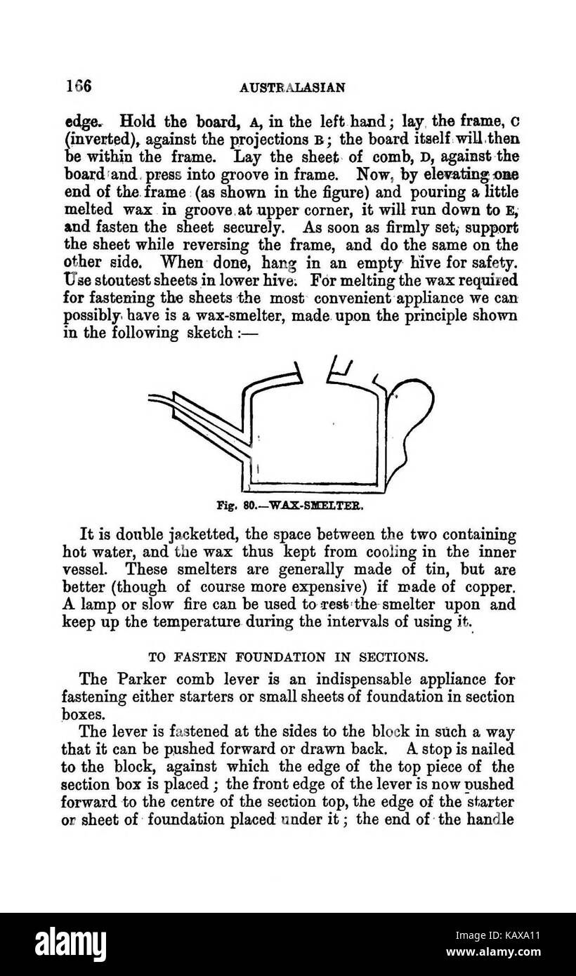 L'illustrato Australasian bee manuale e guida completa alla moderna cultura delle api nell'emisfero sud BHL38562847 Foto Stock