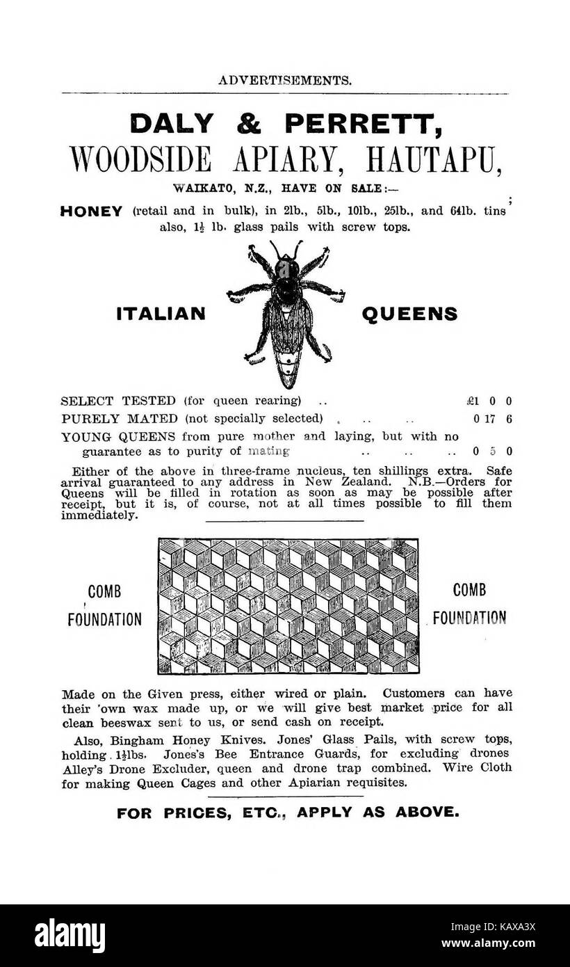 L'illustrato Australasian bee manuale e guida completa alla moderna cultura delle api nell'emisfero sud BHL38563026 Foto Stock