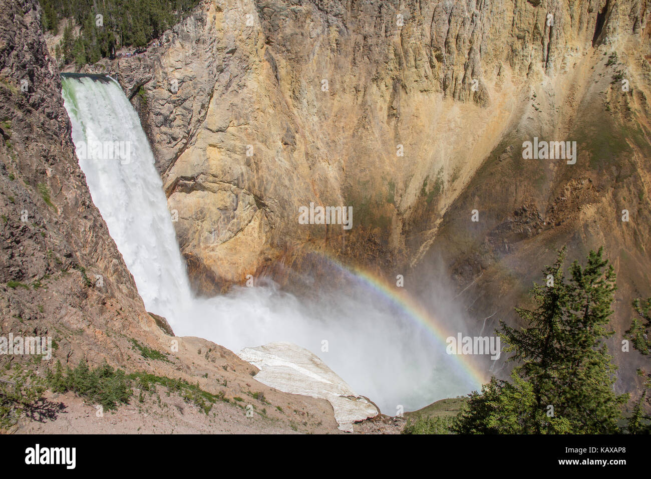 Le cascate inferiori di Yellowstone River nel parco nazionale di Yellowstone, Wyoming usa Foto Stock