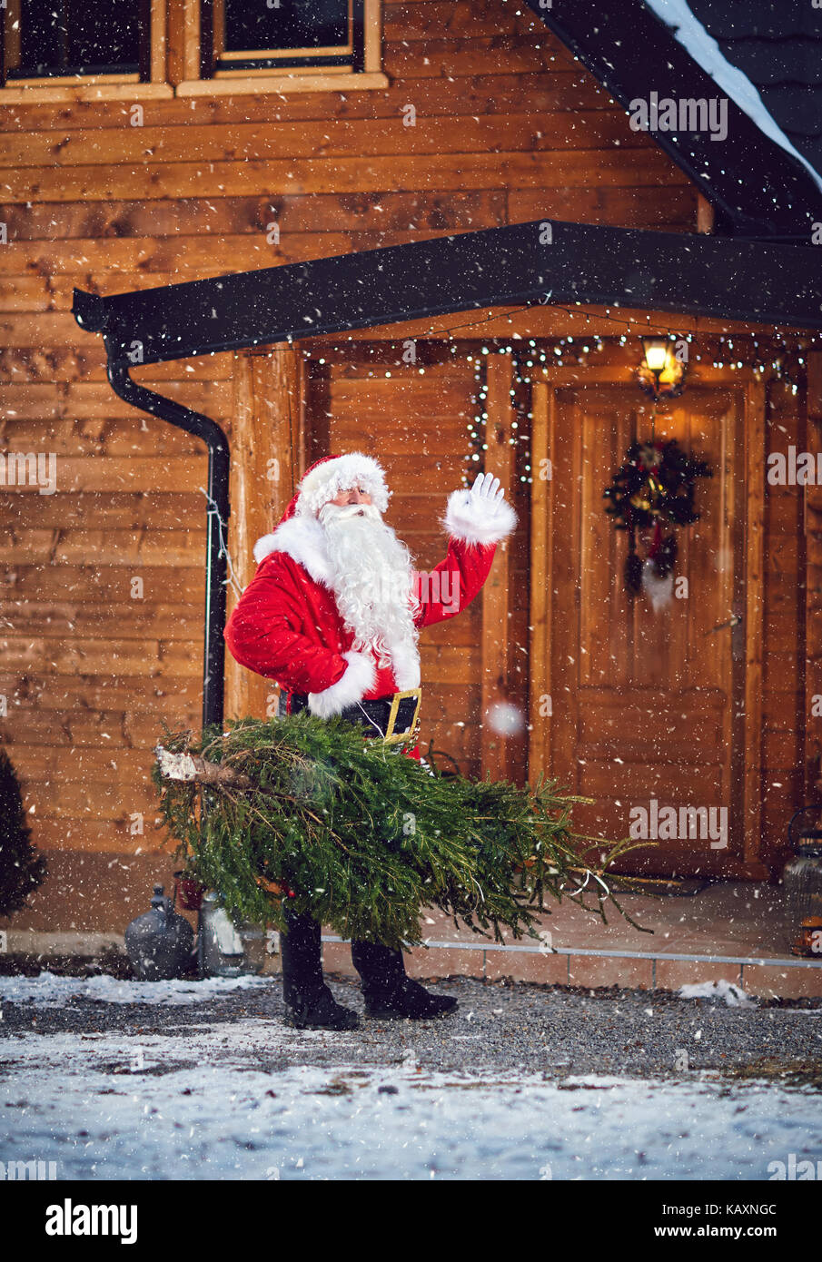 Babbo Natale porta l'albero di natale in casa di fine settimana Foto Stock