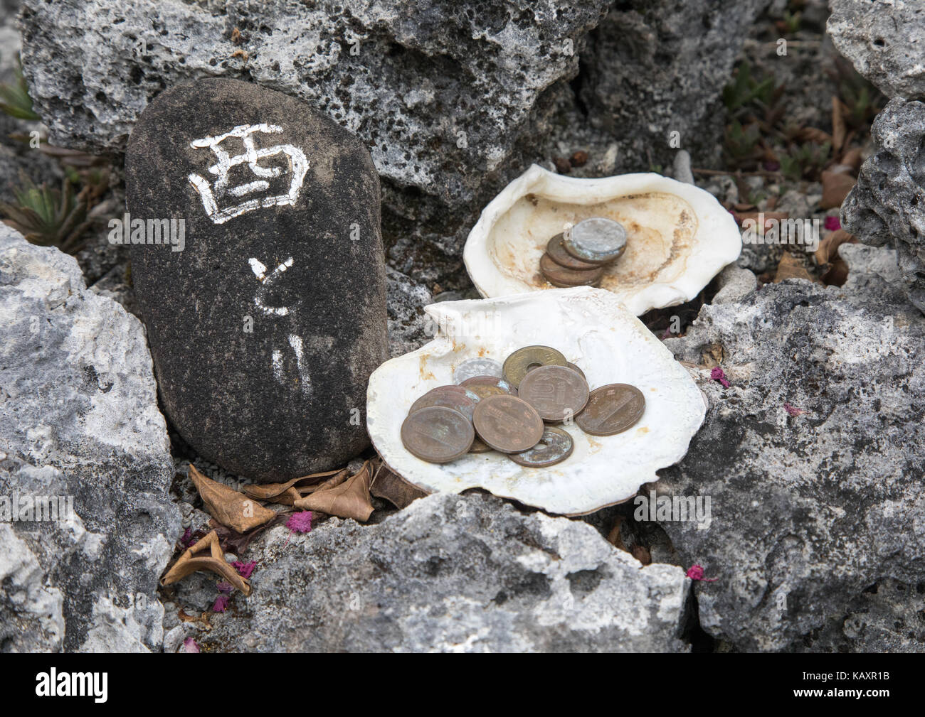 Le offerte raccolte nei serbatoi, isole yaeyama, Isola di Taketomi, Giappone Foto Stock