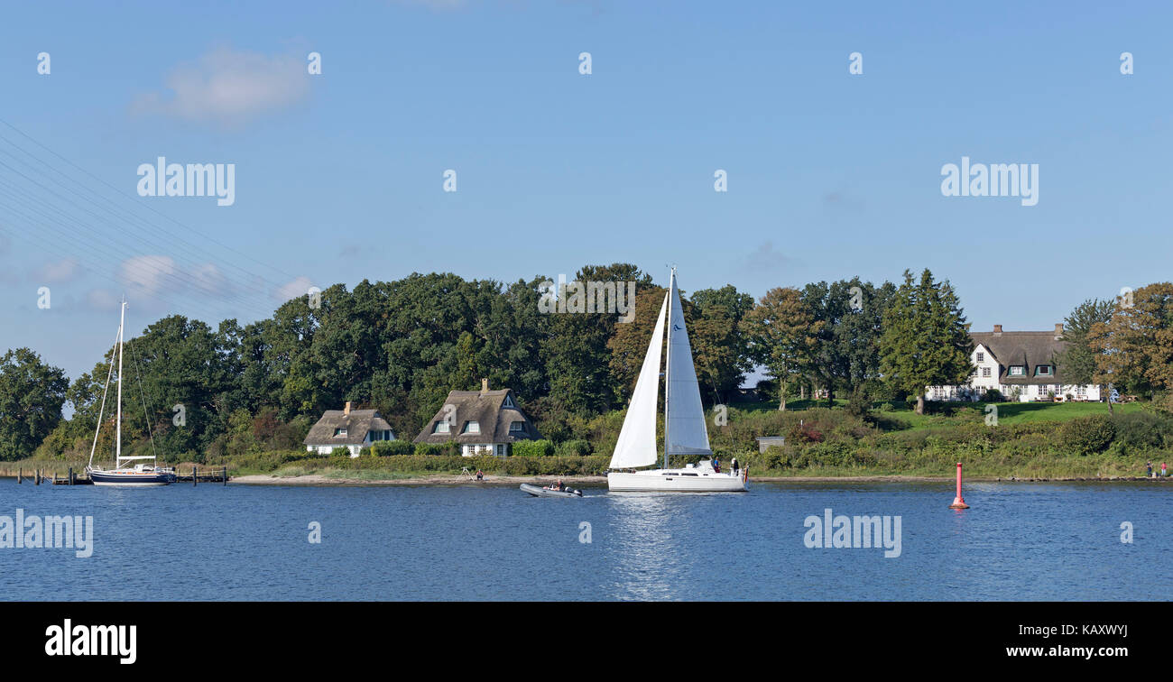 Barca a vela, Rabelsund, Schlei, Schleswig-Holstein, Germania Foto Stock
