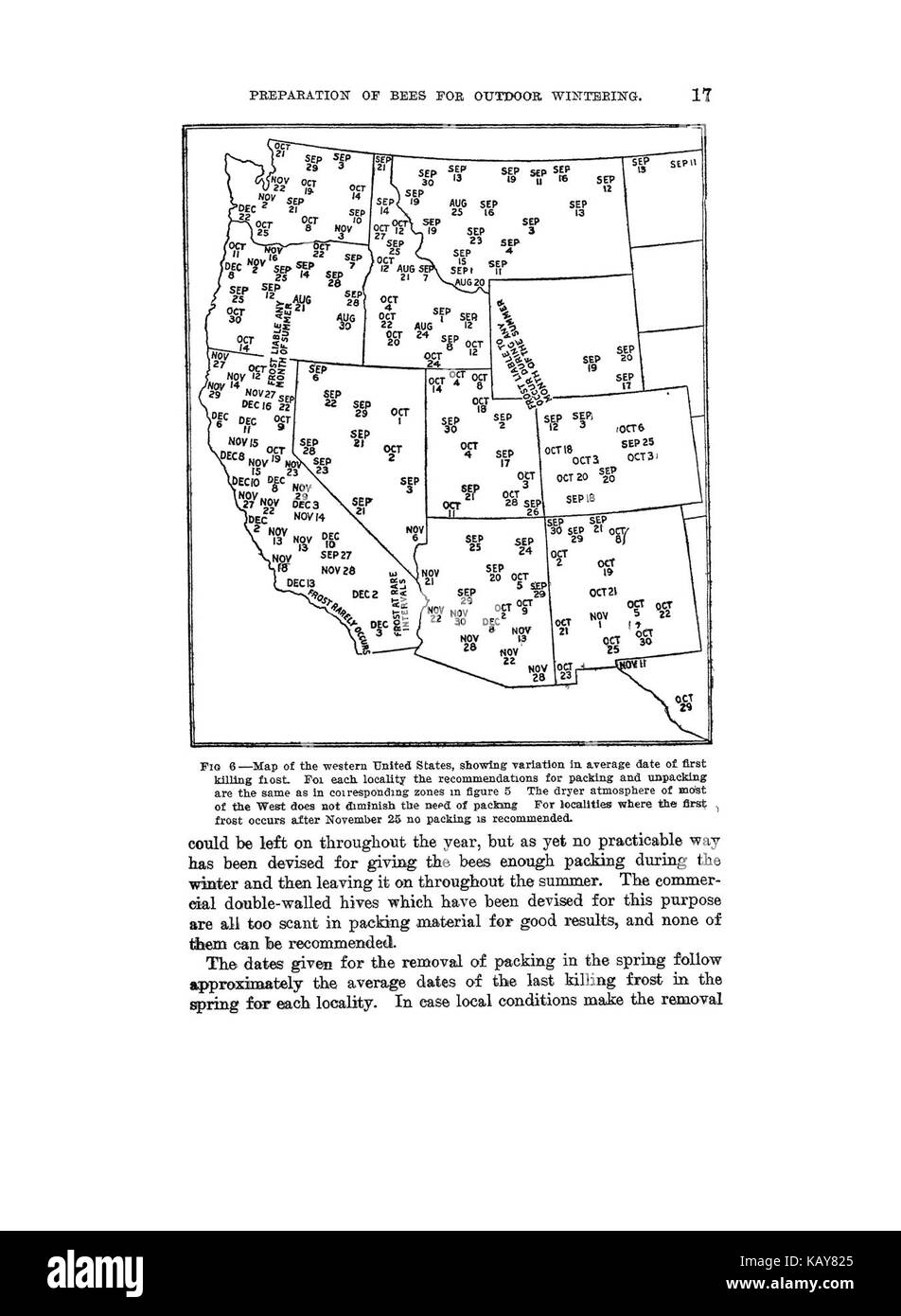 Questa pagina di un manuale di apicoltura mostra come preparare le api per l'inverno all'aperto, garantendo la loro sopravvivenza nei mesi freddi. Il processo è essenziale per mantenere colonie sane durante l'inverno. Foto Stock