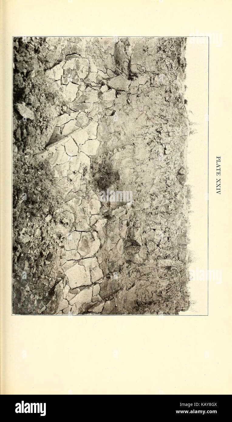 Questo lavoro discute del Pleistocene o del periodo glaciale, concentrandosi sui cambiamenti geologici e ambientali durante quel periodo. Evidenzia i significativi cambiamenti climatici che hanno plasmato la storia della Terra. Foto Stock