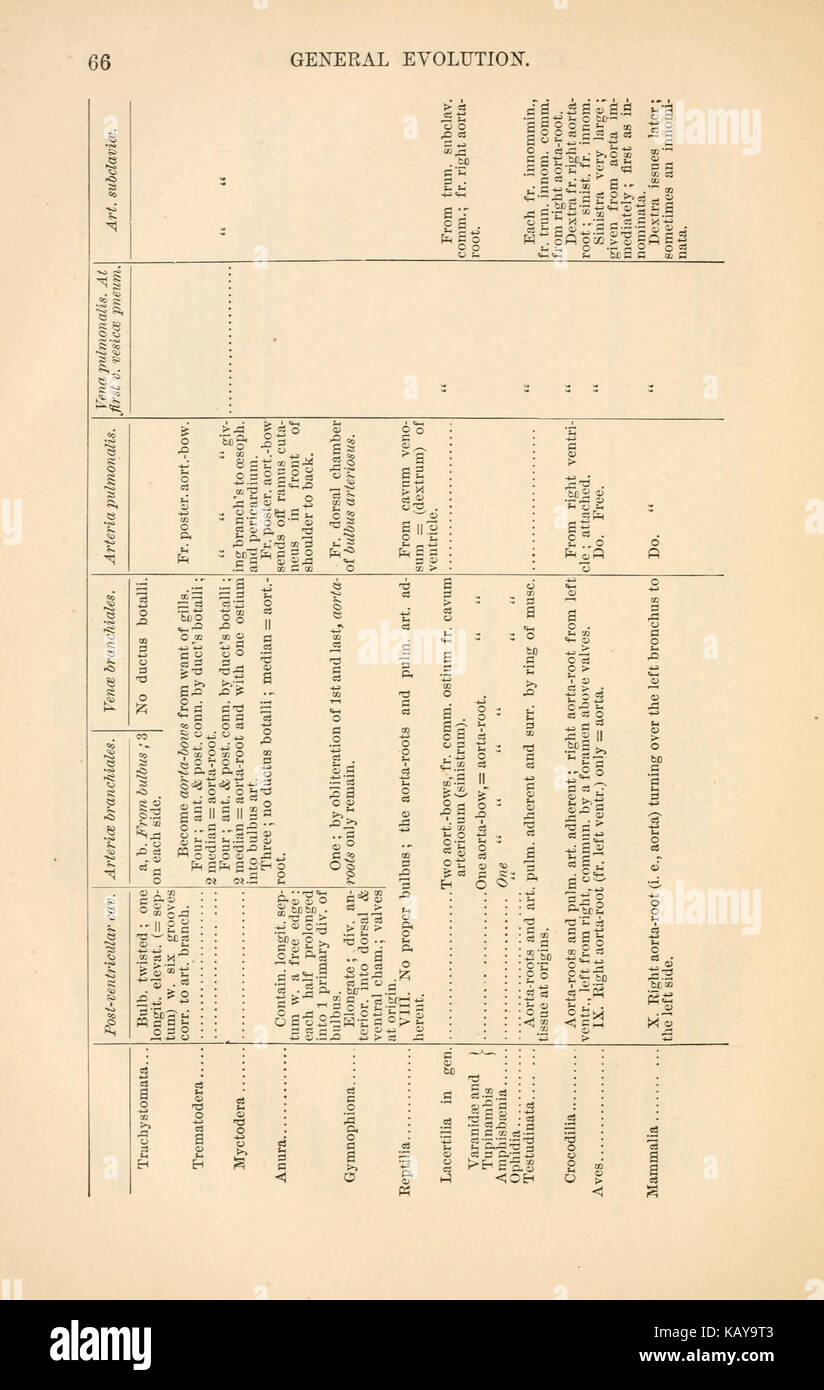 L'origine dei più forti (pagina 66) BHL23210401 Foto Stock