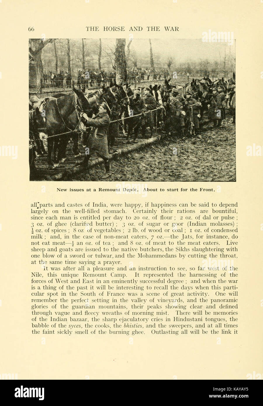 Il cavallo e la guerra (pagina 66) BHL18252073 Foto Stock