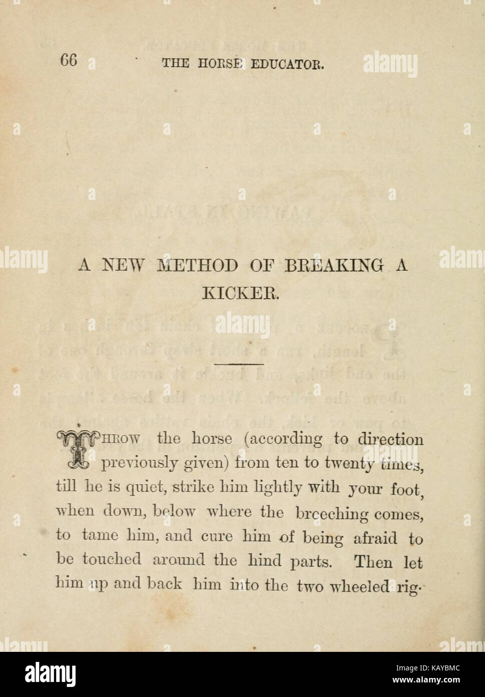 Il cavallo educatore (pagina 66) BHL22503226 Foto Stock