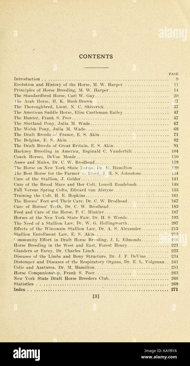 Il cavallo dell'industria nello stato di New York BHL21908356 Foto Stock