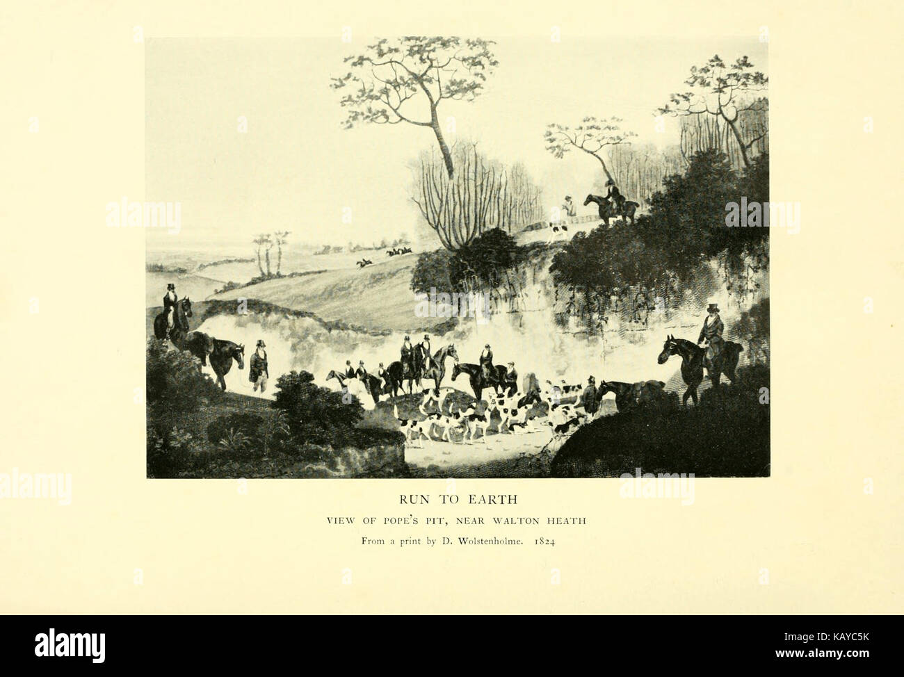 Il vecchio Surrey fox hounds BHL24177827 Foto Stock
