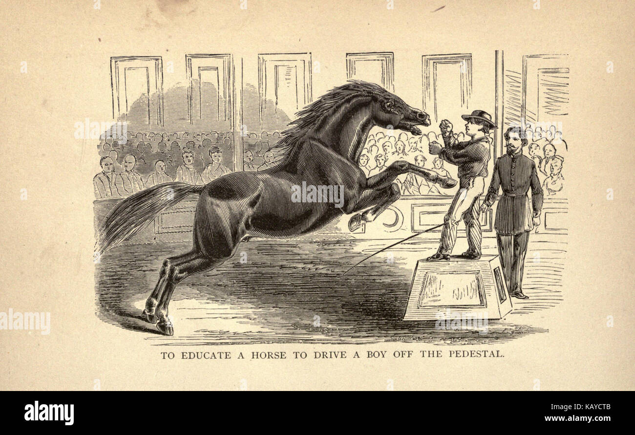 Questa pagina della Biodiversity Heritage Library (BHL) mostra una relazione tra i cavalli e i loro compagni, possibilmente altri animali o esseri umani, evidenziando il ruolo dei cavalli negli ecosistemi e nella cultura. Foto Stock