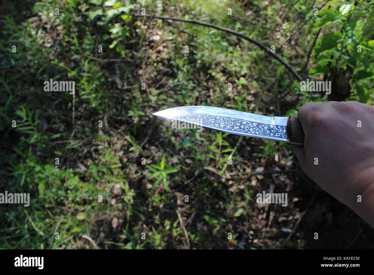 Un bel coltello con un manico di legno nella mano umana. la sua lama è  decorata con incisione e la maniglia è inscritto con una iscrizione delle  rune Foto stock - Alamy