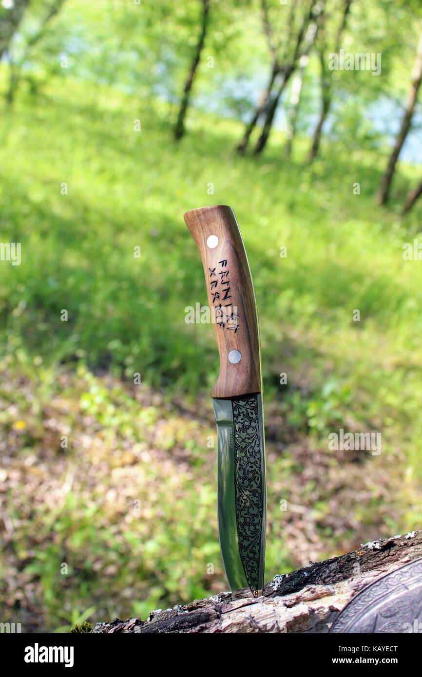 Un bel coltello con un manico in legno è bloccato in un tronco di albero  nella