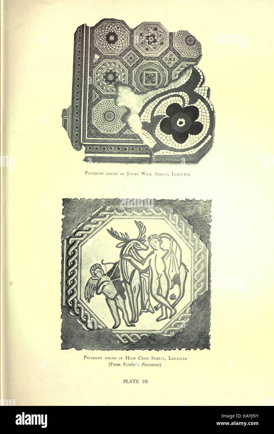 La storia di Victoria della contea di Leicester BHL18789838 Foto Stock