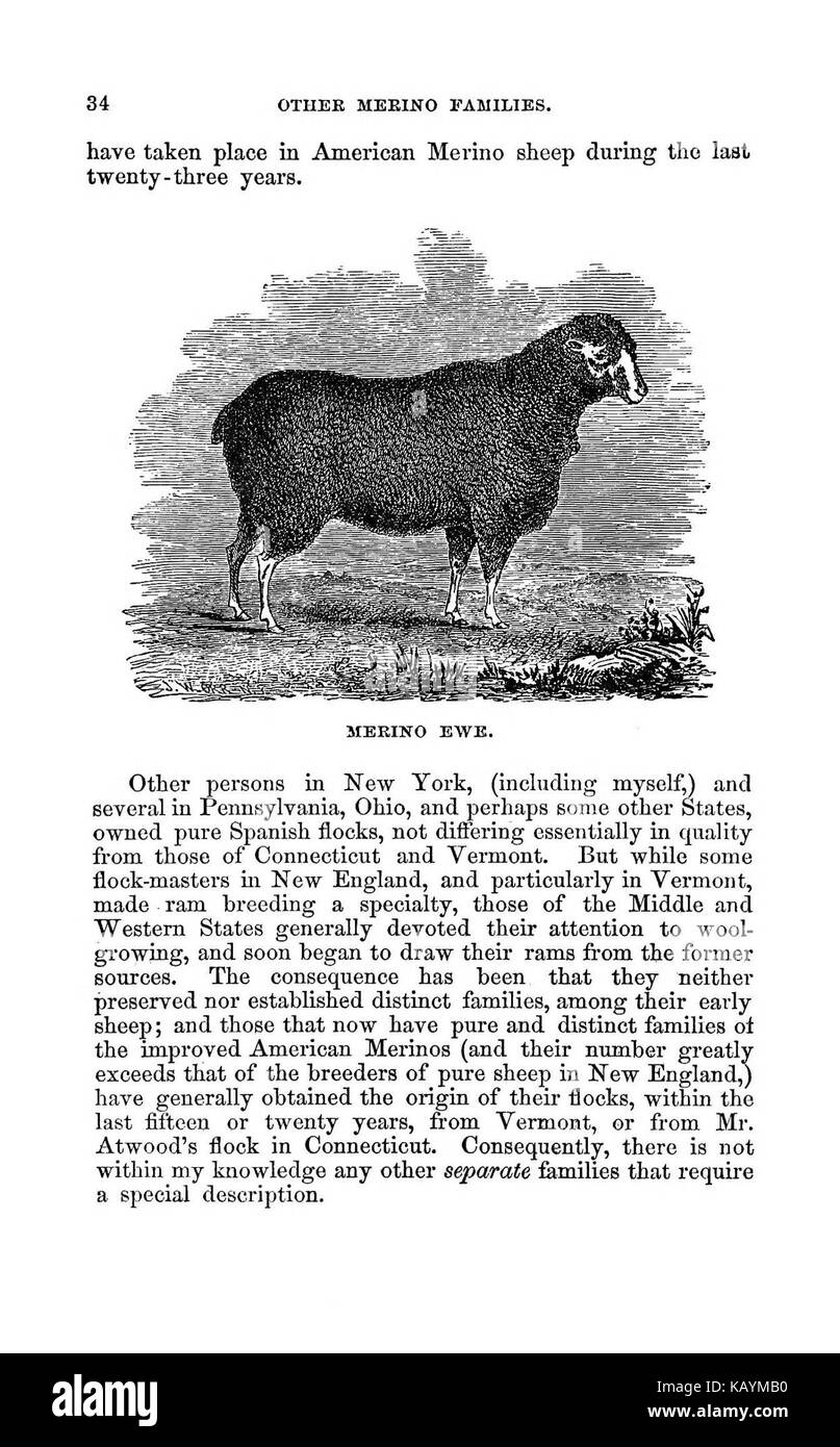 La pratica pastore BHL37776083 Foto Stock