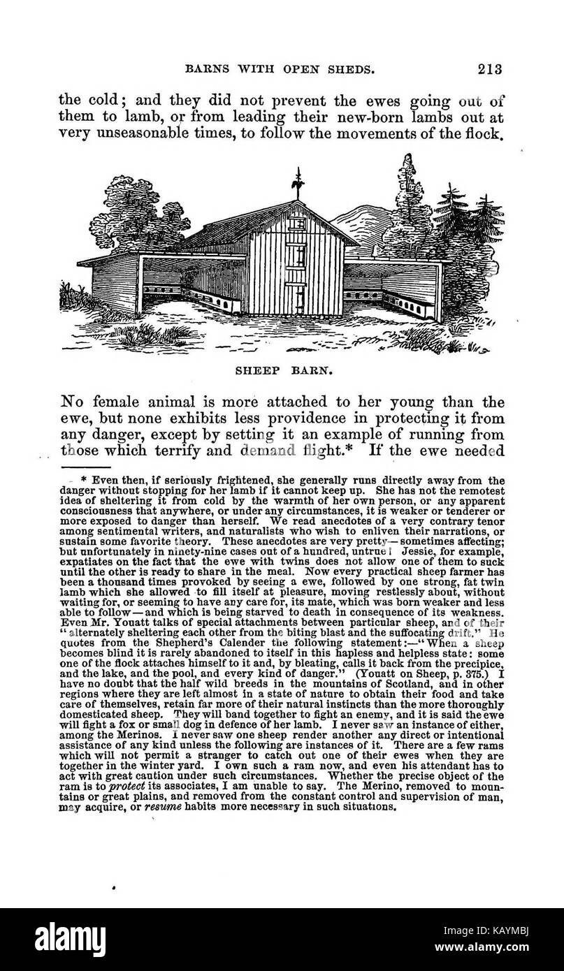 La pratica pastore BHL37776262 Foto Stock