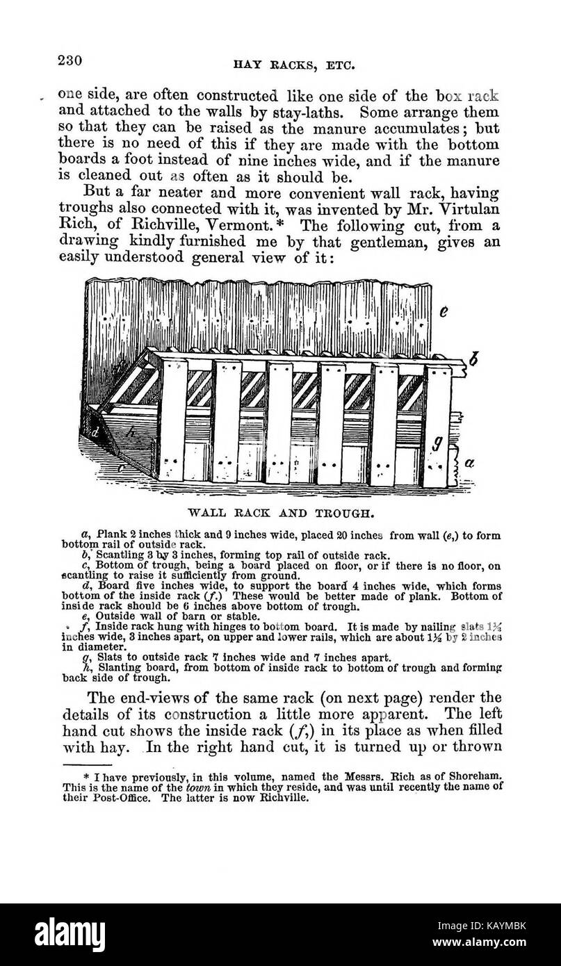 La pratica pastore BHL37776279 Foto Stock