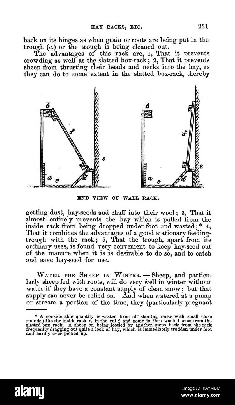 La pratica pastore BHL37776280 Foto Stock