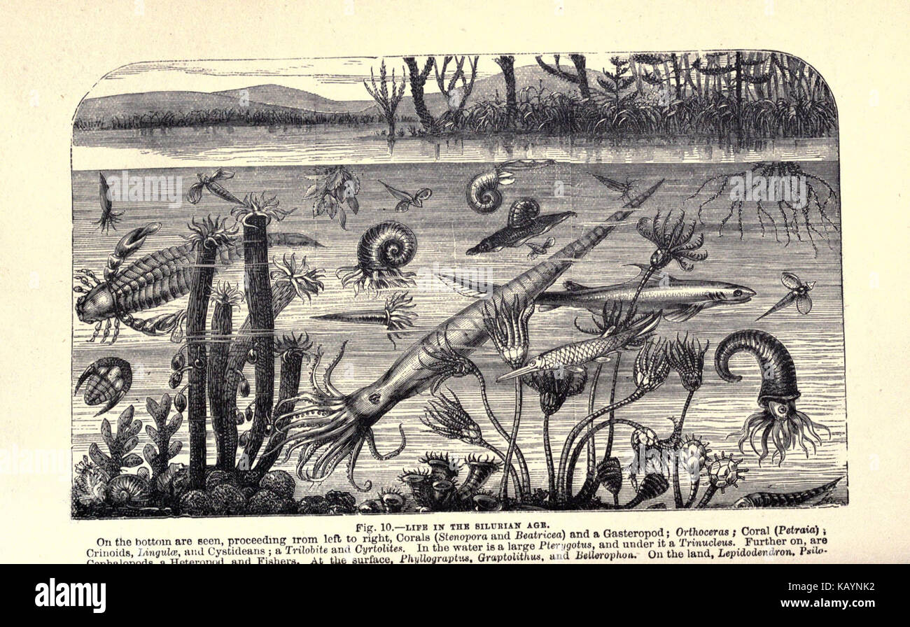 La storia della terra e dell'uomo (pagina 66) BHL22793719 Foto Stock