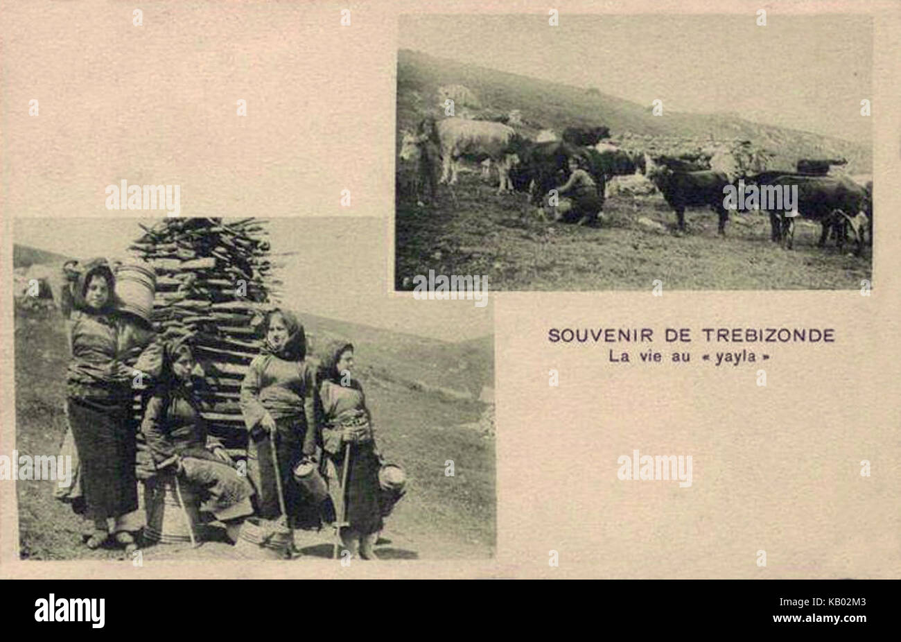La vita sul yayla Foto Stock
