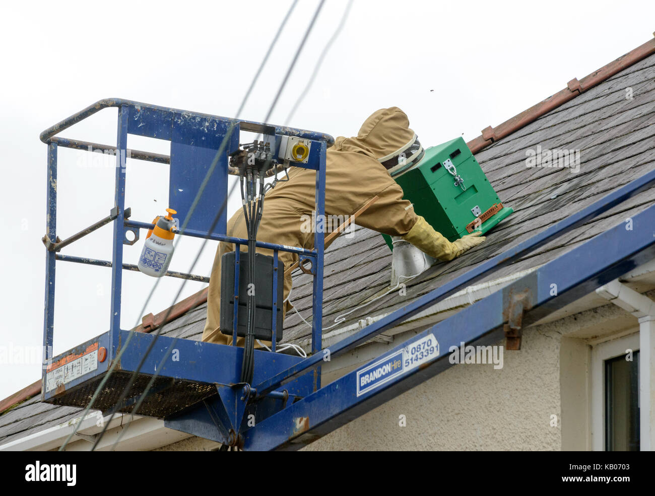 Pest Control Specialist di installare una scatola di covata al fine di incoraggiare una colonia di api mellifere per spostarsi da una casa camino. Foto Stock