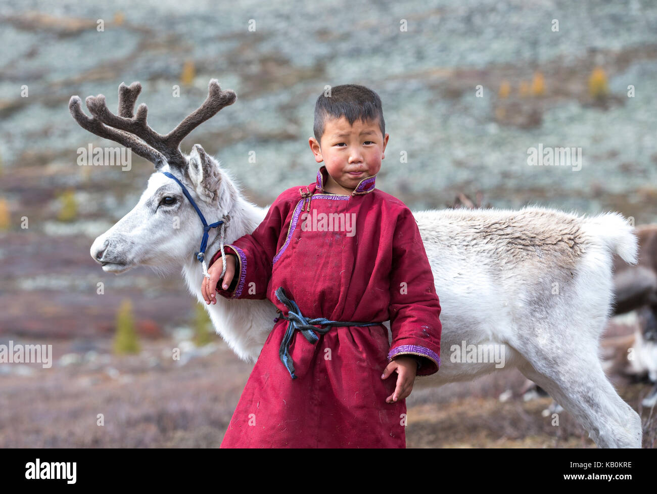 Tsaatan boy, vestito di un tradizionale deel con una renna nel nord della Mongolia Foto Stock
