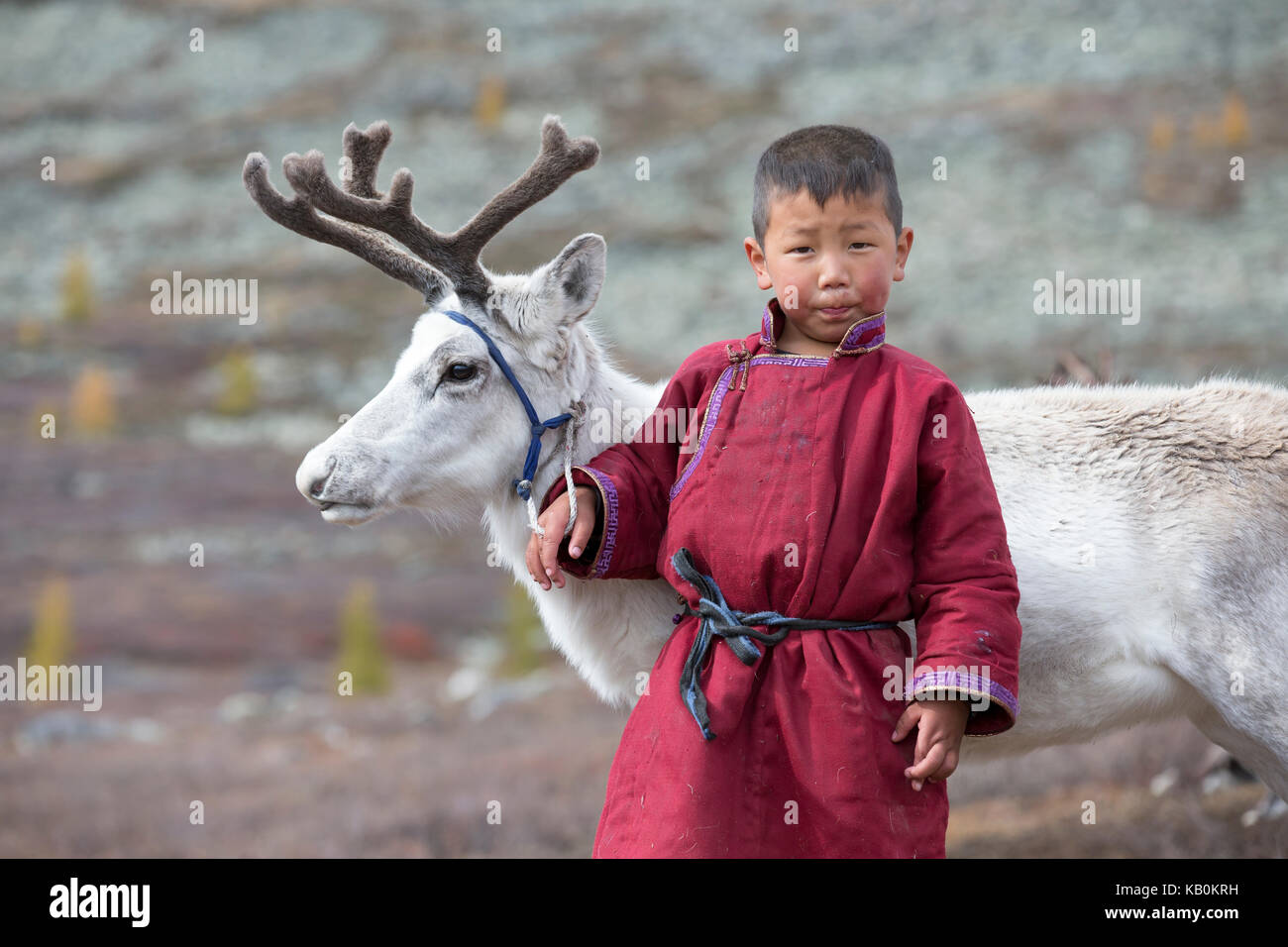 Tsaatan boy, vestito di un tradizionale deel con una renna nel nord della Mongolia Foto Stock