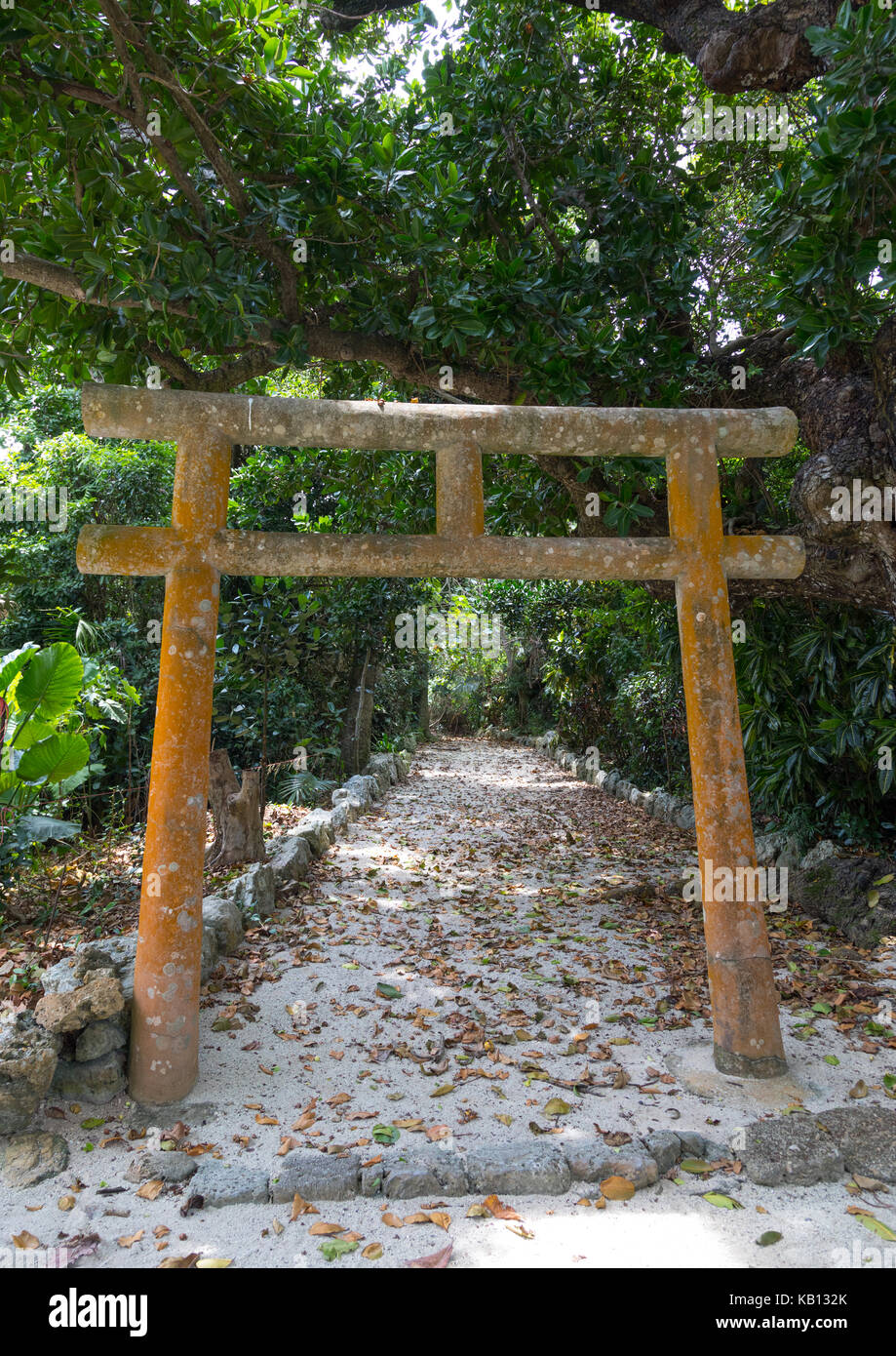 Torii gate in un piccolo tempio, isole yaeyama, Isola di Taketomi, Giappone Foto Stock