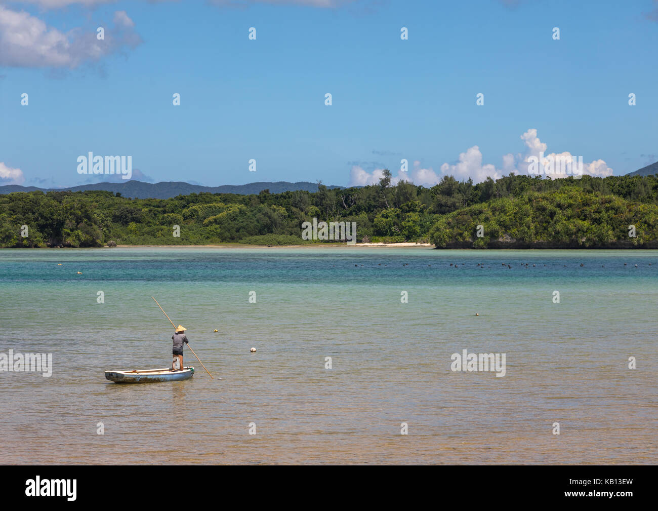 Pescatore giapponese nella laguna tropicale con chiare acque blu nella baia di kabira, isole yaeyama, ishigaki, Giappone Foto Stock