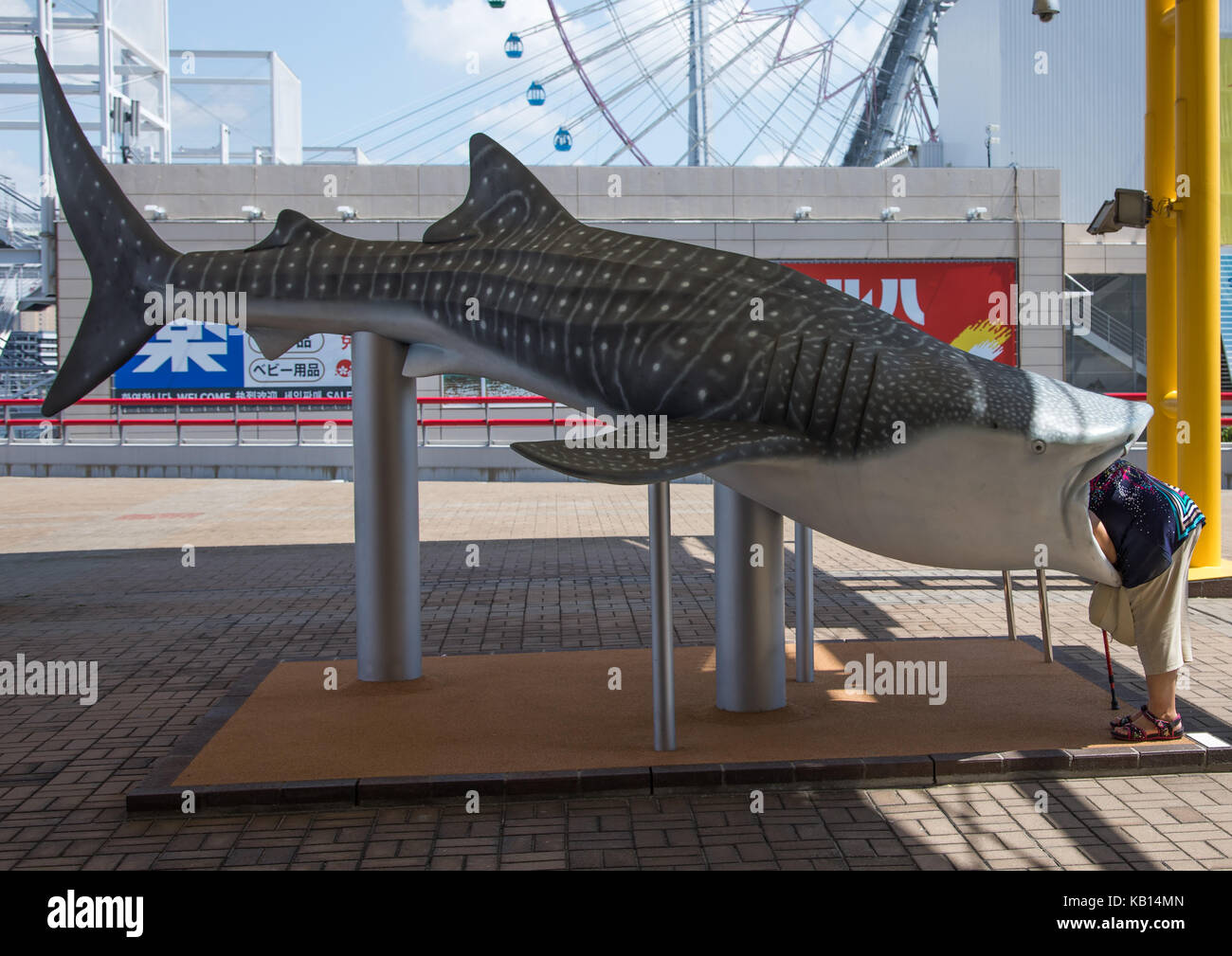Donna che guarda all'interno di un fake plastica gigante di squalo balena in Acquario Kaiyukan, la regione di Kansai di Osaka, Giappone Foto Stock