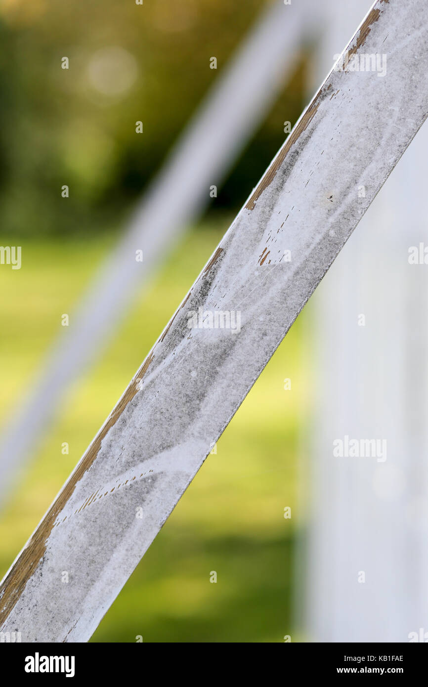 Cricket schermata vista, bianco invecchiato in legno stagionato, sfondo sfocato, profondità di campo Foto Stock