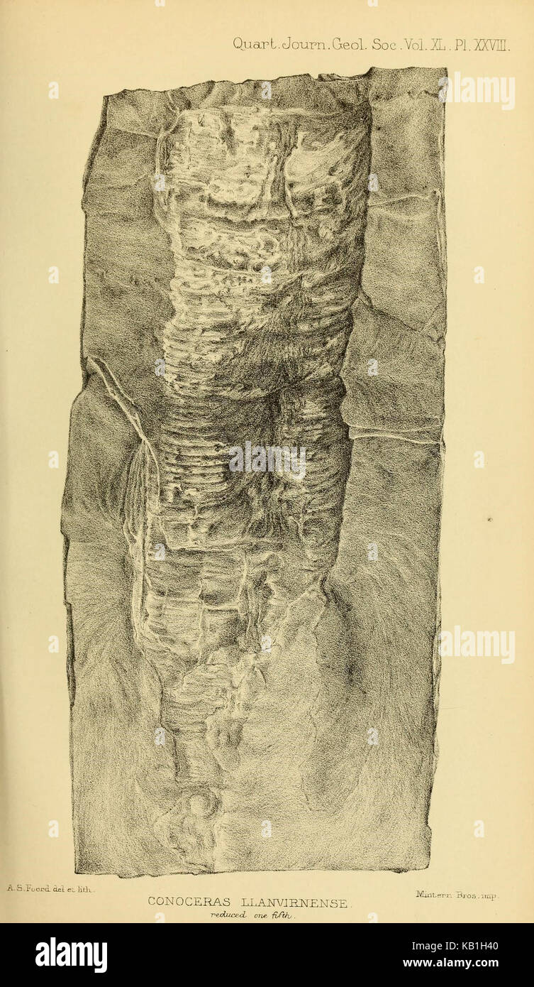 Il Quarterly Journal of the Geological Society of London è un'importante pubblicazione scientifica che si concentra sulla ricerca geologica. Comprende articoli sulle scienze della terra, indagini geologiche e le ultime scoperte nel campo della geologia. Foto Stock