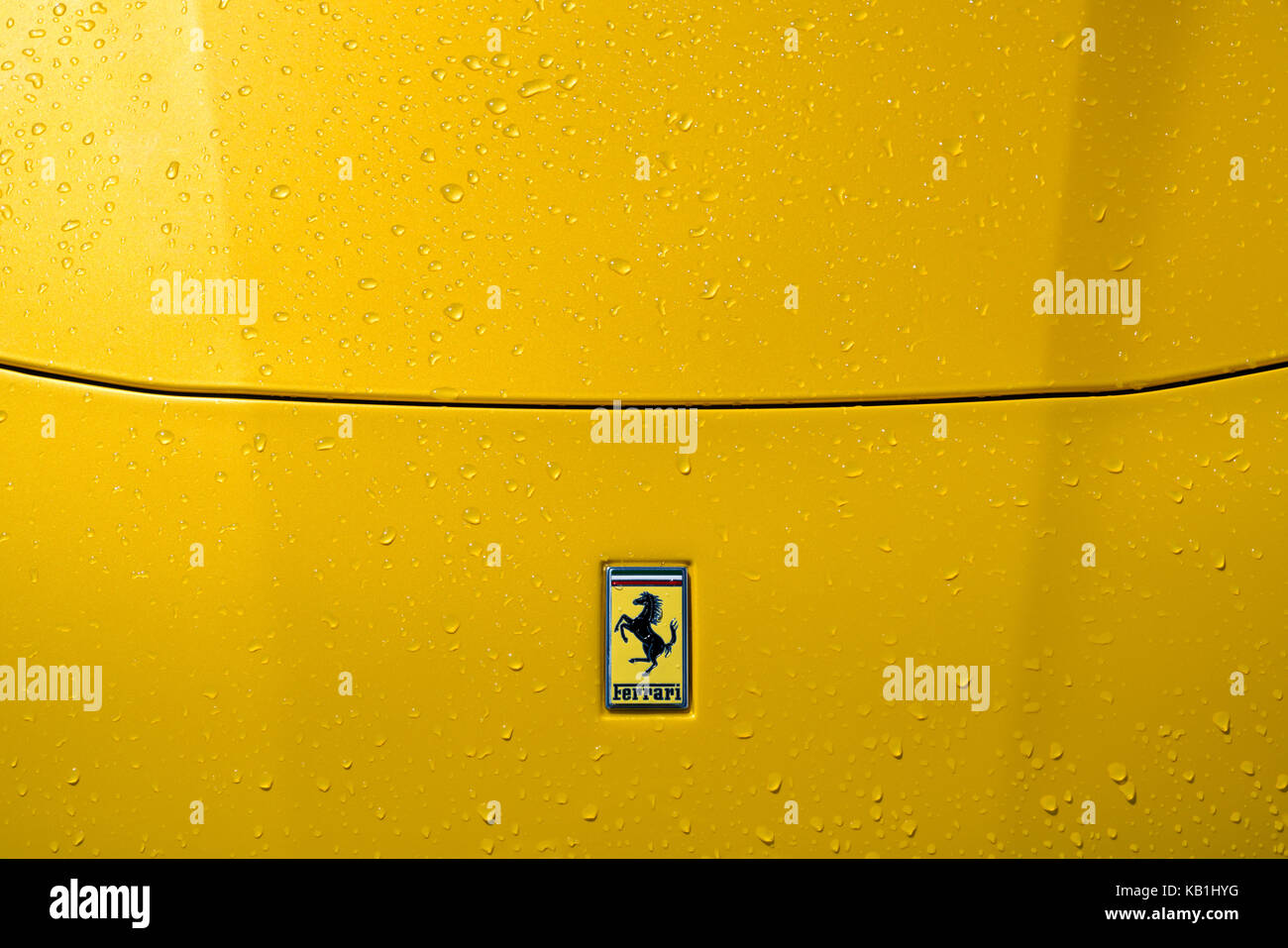 Ferrari F12 dettaglio del cofano con il badge, vernice gialla e gocce di pioggia. Foto Stock