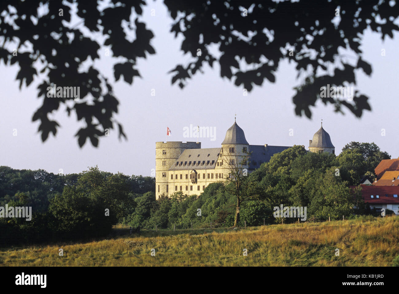 Il castello di altezza del castello wewels, cerchio di Paderborn in Renania del nord-Vestfalia, Germania, Europa, edificio, castello, struttura, storicamente, ambiente, prati, alberi, luogo di interesse, mura e torri, forche, foglie, Foto Stock