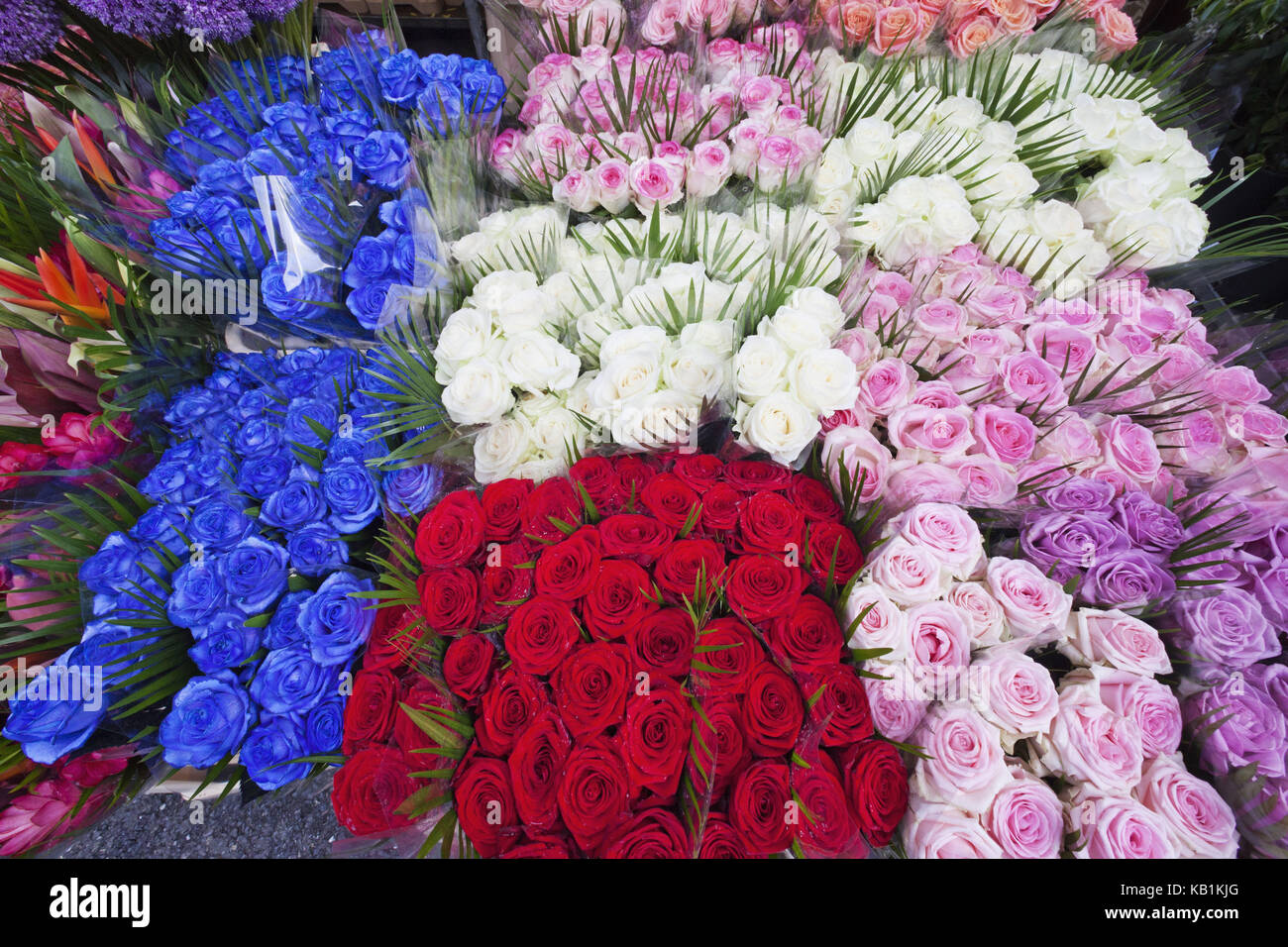 Inghilterra, Londra, Columbia road flower market, Foto Stock