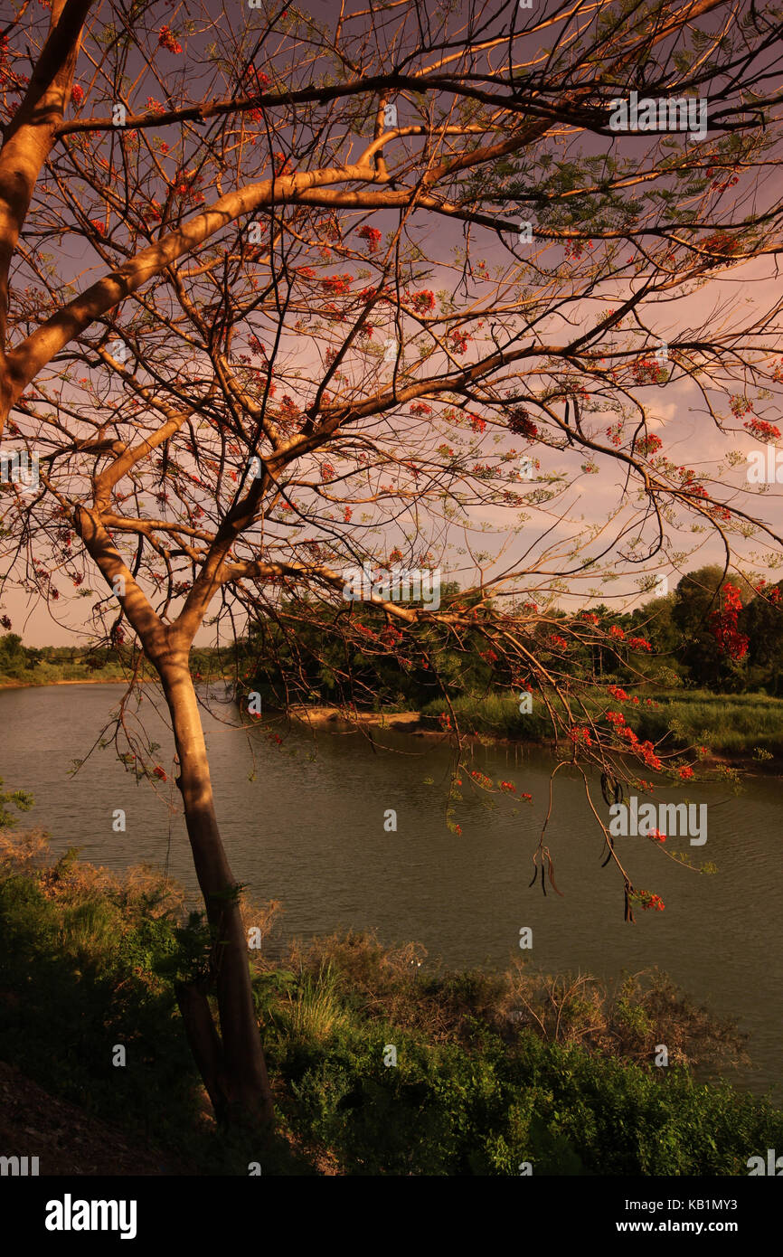 Asia, Sud-est asiatico, Thailandia, sukhothai, parco storico, tempio Wat, si satchanalai chalieng, parco storico, tempio complexs, Wat Phra si rattana mahathat, yon river, Foto Stock