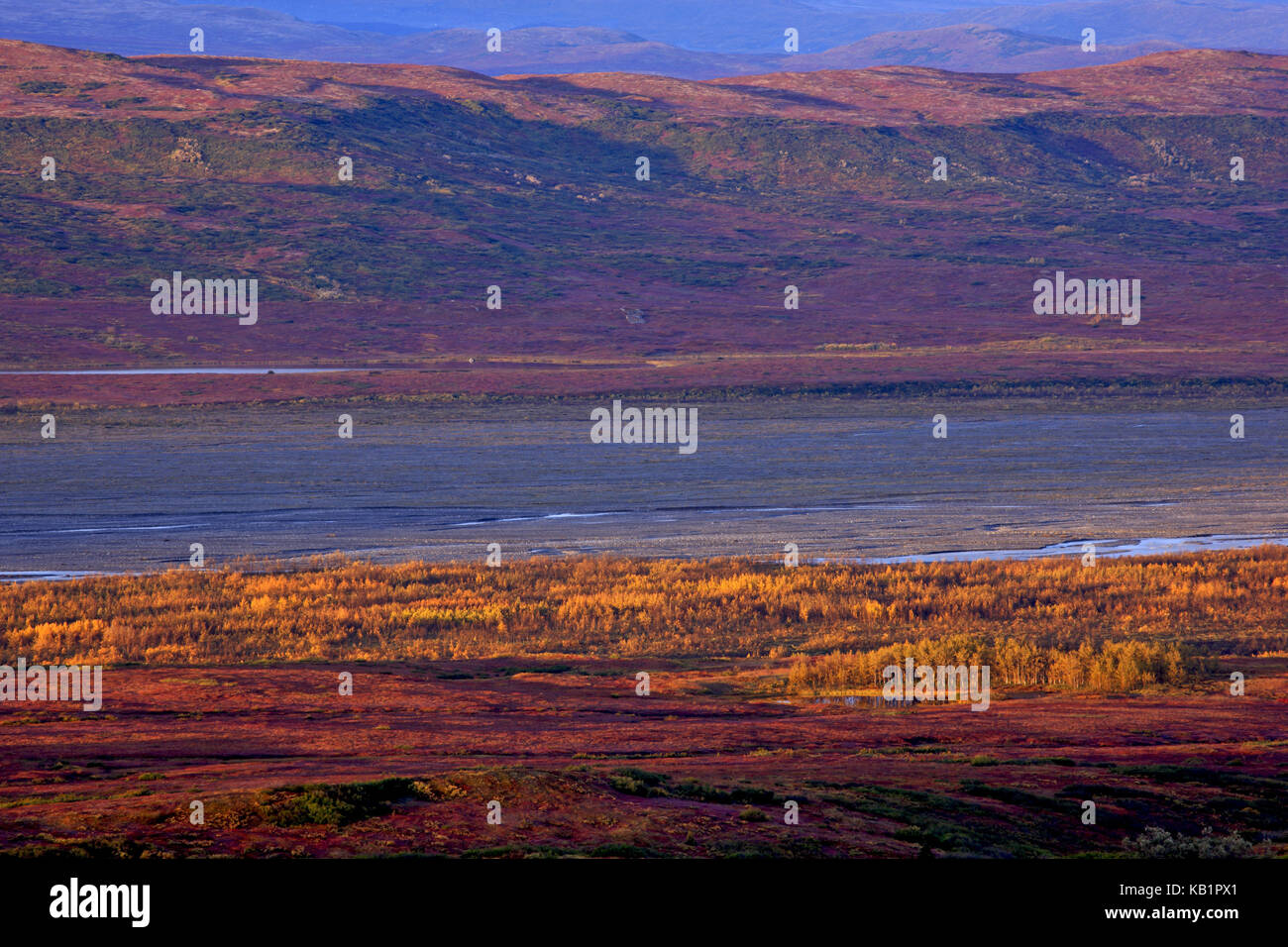 Nord America, USA, Alaska Denali National Park, valle del ghiacciaio, tundra autunnale, Foto Stock